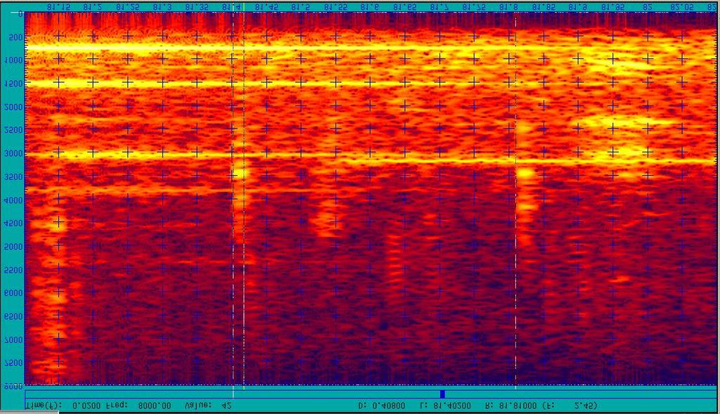! Noise of selector at 14 h 43 min 29.3 s The spectral representation closest to this noise corresponds to pulling the fire handle. The noise at 14 h 43 min 44.7 s confirms this action.