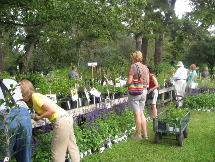 Sunday). Well over 5,000 plants are sold representing 600 different species. PlantFest!
