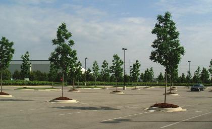 Parking Adequate parking is essential within the Light Industrial/Business Park and Industrial Areas.