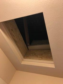 1. Attic Master bedroom closet is location of access. Attic 1 2. Framing Framing appeared in good condition overall.