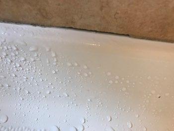 Shower grout absorbs moisture when water comes in contact,