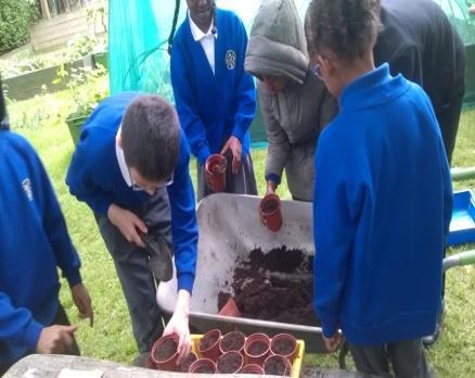 Pupils fed the raised beds with compost that they made in previous lessons and added grass clippings to the compost heap as an activator.