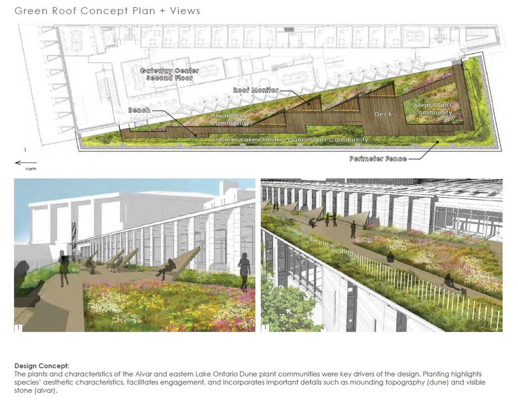 ESF Gateway Center Green Roof Architect: Architerra, Inc. Landscape Architect: Andropogon Associates, Ltd.
