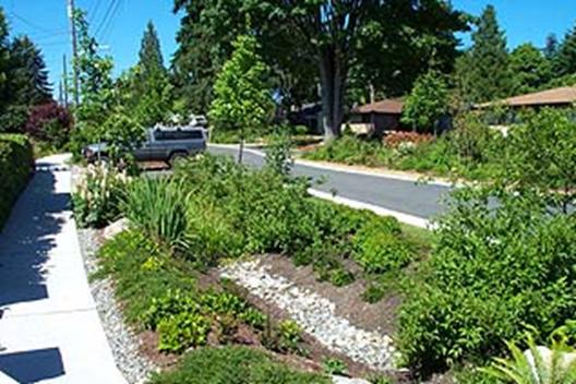 8.1 OVERVIEW Green infrastructure also known as low impact development (LID) and environmental or sustainable site design is an environmentally sustainable way to manage and treat stormwater at its