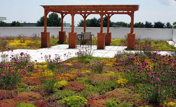8.2.3 Green Roofs and Vertical Gardens Green roofs are vegetated rooftops. They consist of a waterproof membrane, growing medium or soil, and vegetation overlaying a traditional roof.