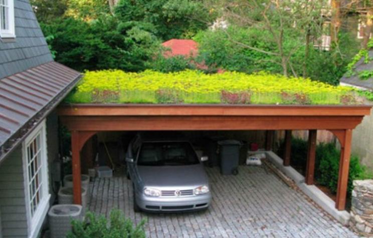 Developers of new multifamily and/or mixed-use projects may receive partial open space credit for use of sustainable treatments such as green roofs and vertical gardens based on utility and value. 8.