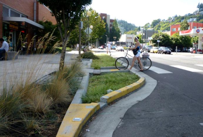 Chapter) provide opportunities to incorporate many green infrastructure features.
