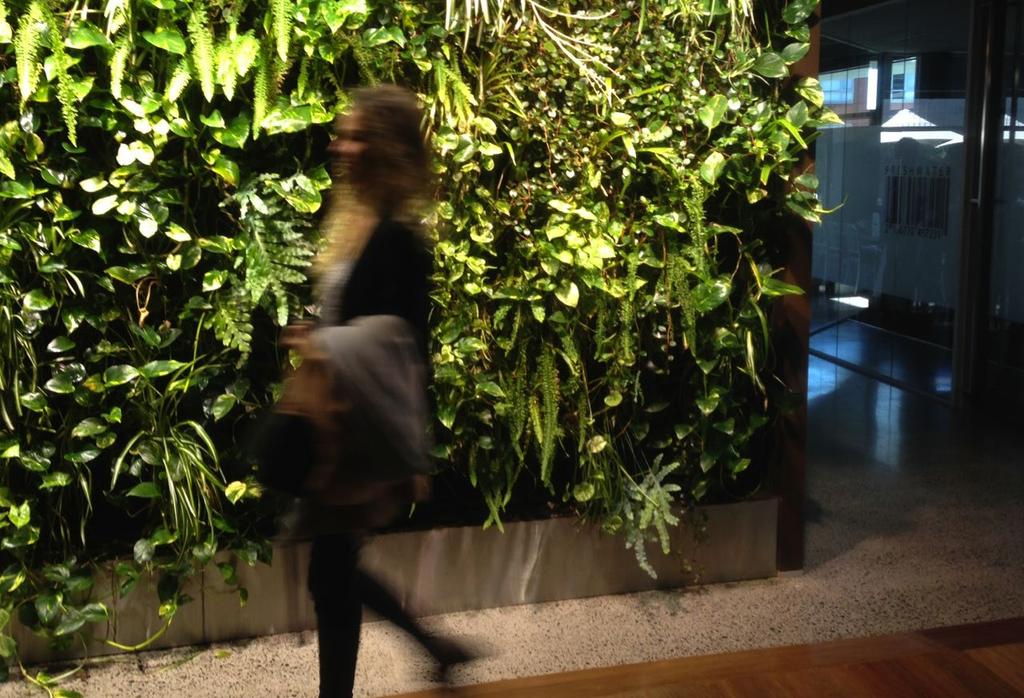 Activity Bring nature indoors permanently Indoor plants and other nature-based elements have a wide range of health and wellbeing benefits in the workplace.