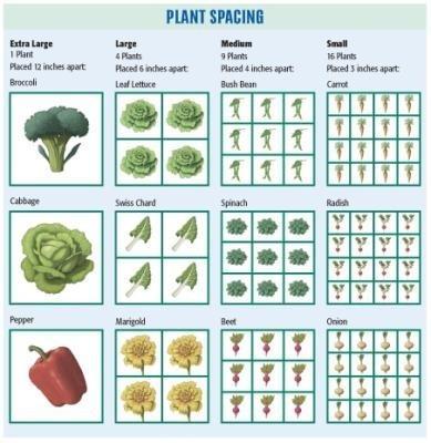 Plant spacing: General