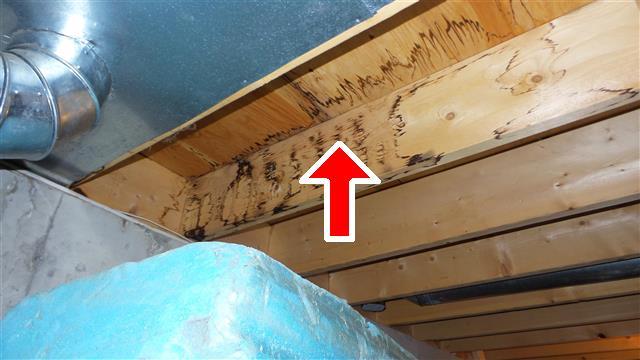 The joist near the electric service panel was cut to allow the location of the metal conduit for the electrical service. I recommend this joist be reinforced.