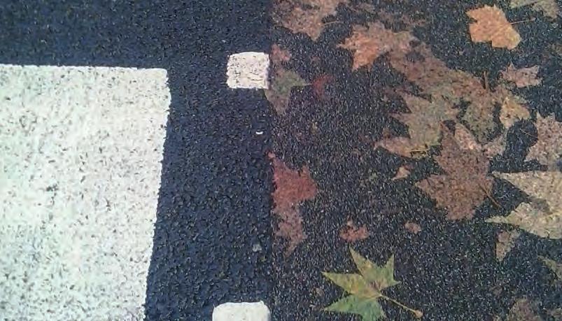 Leaves on the street: one asphalt does not retain the leaves, while the other one retains them. It s like if the leaves were tattooed on the floor.