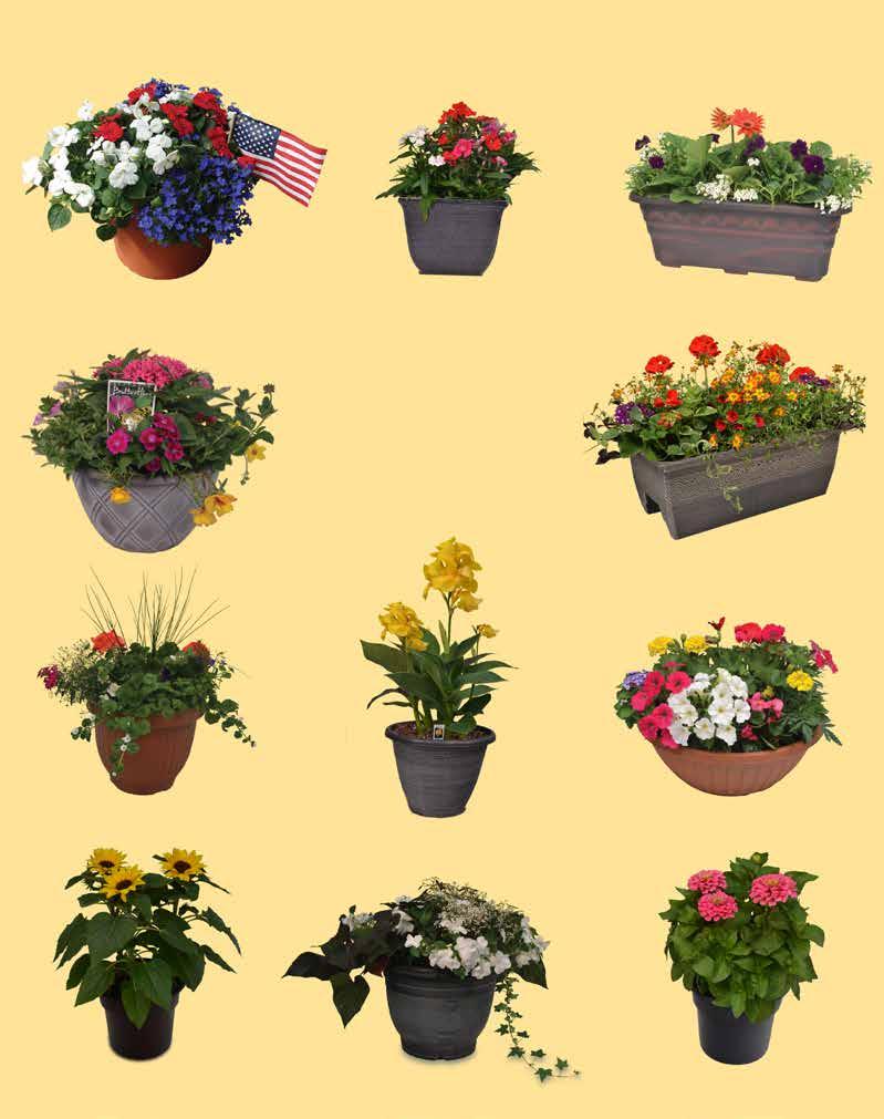 Containers 10 Red, White Blue Pot w/flag 12 Butterfly Planter 8 Square Planter Premium Planter Box Great selection of sizes, price, colors, and textures to ensure