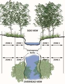 TREE PROTECTION, LANDSCAPING AND BUFFERS 8.9 WATERCOURSE (RIPARIAN) BUFFER AREAS 8 streams and beginning at the top of bank or mean high water line for all other water bodies.