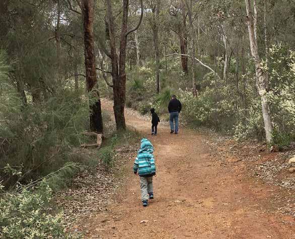 10 First 9 priorities The WA Parks Foundation will begin operations with a focus on Parks in and around Perth, where the greatest numbers of visits are made and Parks are therefore under the greatest