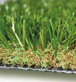perfect costeffective solution for problem grassy areas, SowGreen can also be