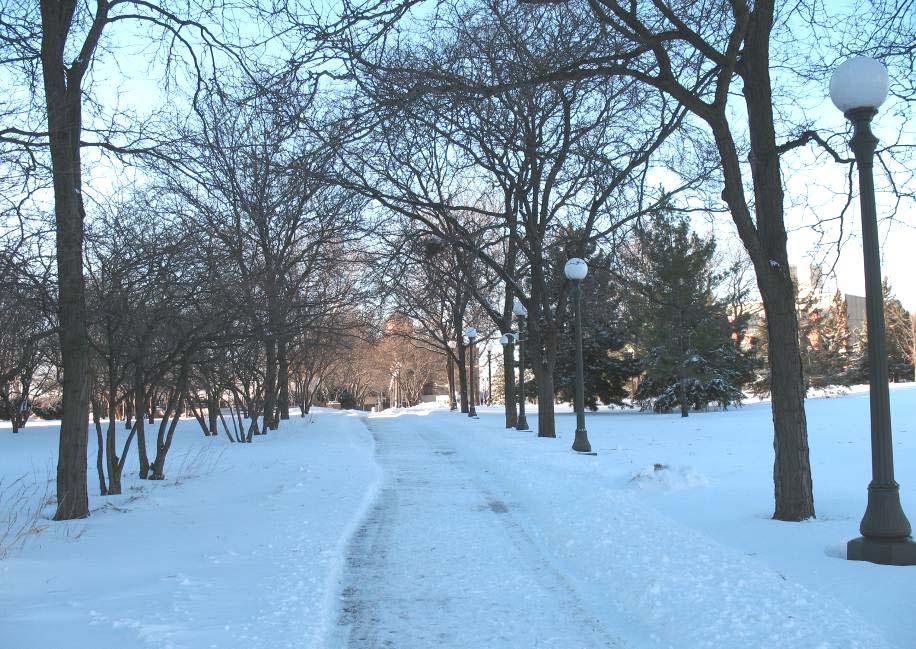 Looking northwest towards University Avenue and Rice Street from near southeast corner of Leif Erikson Lawn, December 2007.