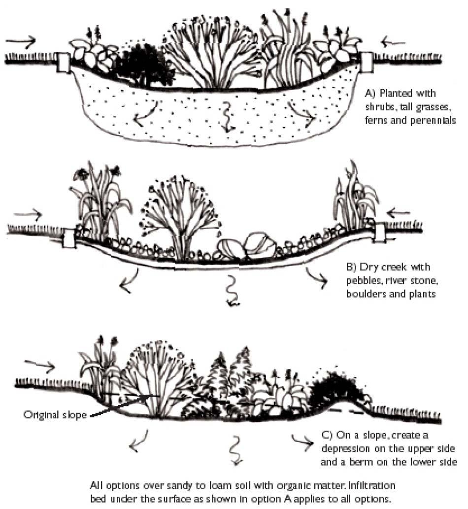 Figure 4: Diagram showing various rain garden configurations.