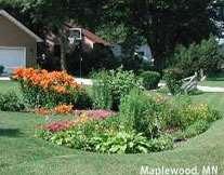 RAIN GARDEN A rain garden is a shallow, constructed depression that is planted with deep-rooted