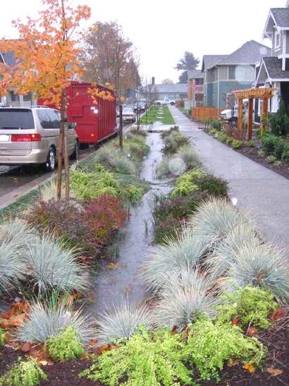 BIOSWALES Bioswales are storm water runoff conveyance systems that provide an alternative to storm sewers.