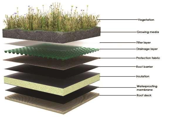 GREEN ROOF Increasing biodiversity can positively affect three realms: 1.