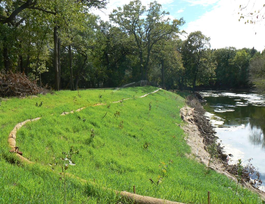 Quality Improvement Project Description: This site on the Sauk River had a severely eroded outside bank.