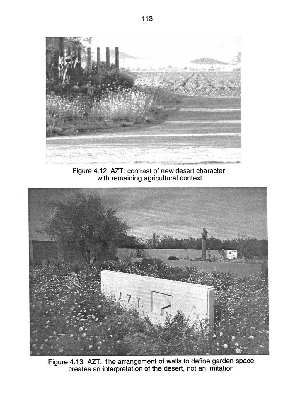 113 Figure 4.12 AZT: contrast of new desert character with remaining agricultural context Figure 4.