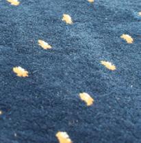 Carpets are one of your most important assets and yet they are probably most neglected.