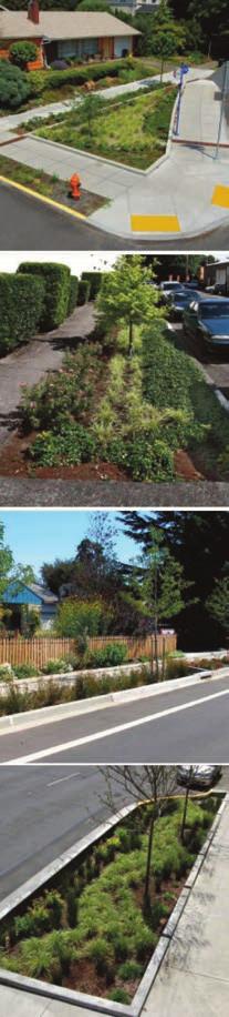 The images to the right show a variety of Green Streets in Portland that have been successfully implemented.