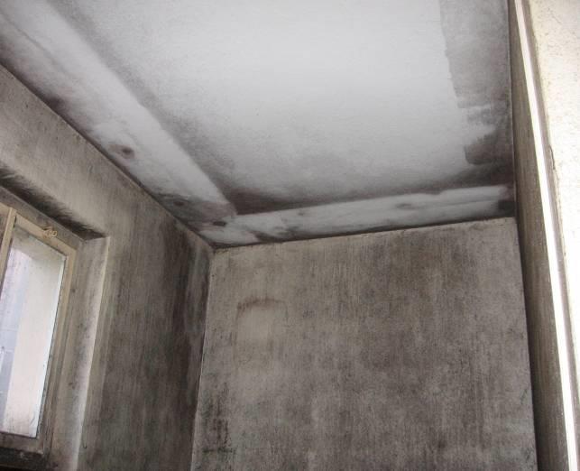 Mould Growth Factors Moulds and their spores can be found almost everywhere; they are part of our natural environment.