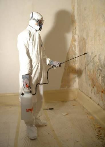 Thoroughly clean the room after treatment with a vacuum cleaner equipped with a HEPA filter* to remove airborne (dead) mould particles. A suitable air cleaning device may be used during treatment.