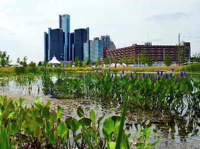 WATERFRONT ACCESS COMMUNITY STRATEGIES Detroit Where applicable,