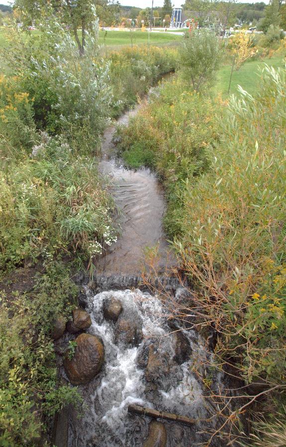 ENVIRONMENTAL PROTECTION Elmwood Township Inventoried streams and