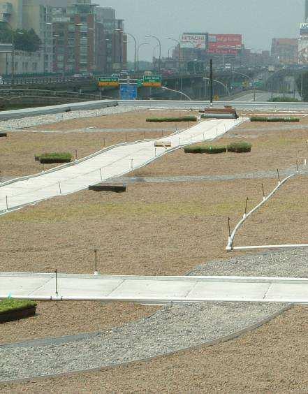 Conventional Built Up Green Roof Systems Expensive Difficult, time consuming to install Long establishment time