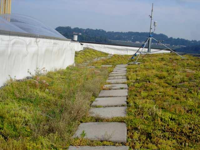 The Use of Lightweight Green Roofs as a Storm Water