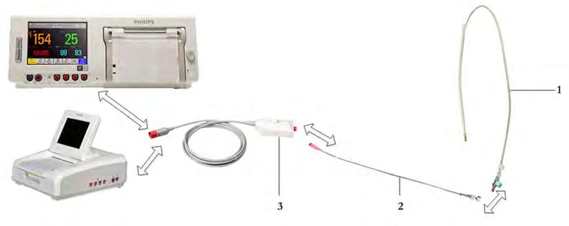 16 Monitoring Uterine Activity Internally 16Monitoring Uterine Activity Internally FM30/50 You can monitor intrauterine pressure (IUP) using an intrauterine catheter together with a patient module,