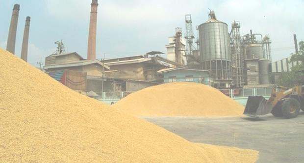 18 Rice mill industry