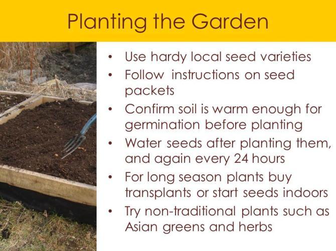 the garden. These will also include guidelines for working with others, sharing space, and treating fellow gardeners with respect.