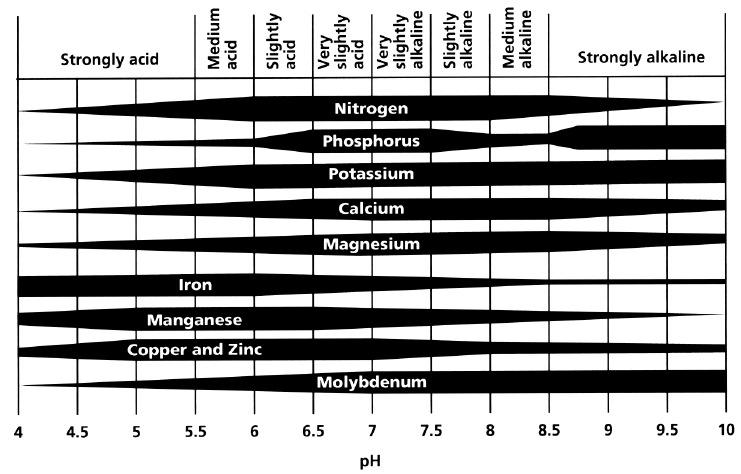 Soil Acidity and Nutrient Availability Optimum ph Soil ph is an important soil property, because it affects the chemical, biological, and physical processes of the soil.