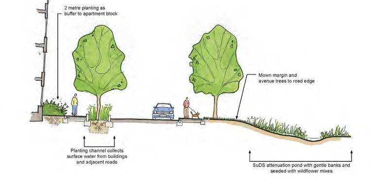 Undertook Landscape Visual Impact Assessment and tree and hedgerow surveys to input to the detailed masterplan and outline