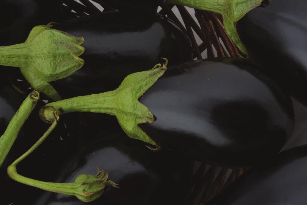 EGGPLANT PRODUCTION GUIDELINE CUSTOMER SERVICES: 0860