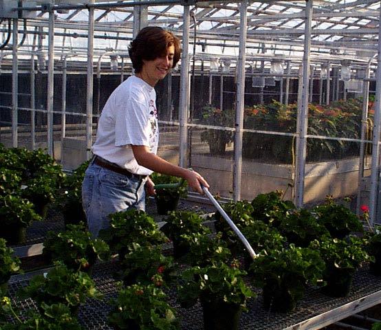 A. In-house tests: Pour-thru Irrigate plants