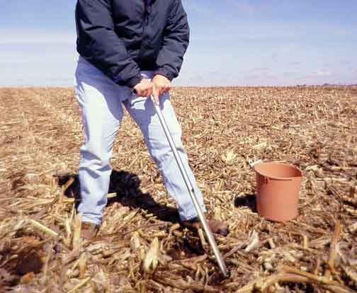Soil Sampling Sample to your tillage depth (go to 6 inches) if you don t know.