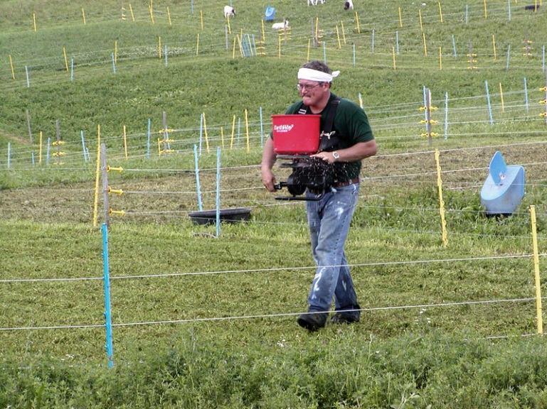 Frost seeding More reliable than we thought Virginia Tech Study Compares frost seeding with no-till