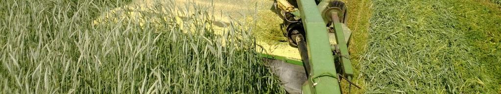 Can plant forage oats in the fall,