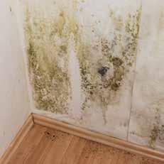 If rising energy costs mean you are struggling to pay for heating, ask your energy supplier about ways to spread the cost or contact the Hyde Energy Doctor for more assistance. What is Mould?