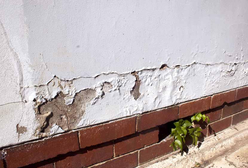Rising Damp is caused by water soaking up the wall, no more than 1m. In fact, this sort of damp is extremely rare and almost never causes black mould.
