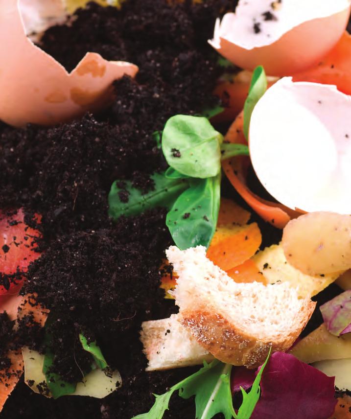 Lesson 5: Compost Composting is the GREENEST thing you can do.
