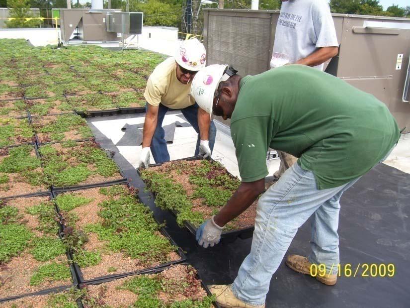 CRCA Vegetative Roofing Panel From Field to Specs & Back Extensive < 6 Thick Overburden Advantages Lightweight