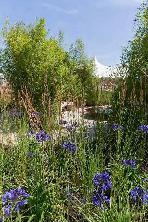 Regularly attracting over 140,000 visitors across six days, and spread over 34 acres; the RHS Hampton Court Palace Flower Show is the world s largest annual flower show.