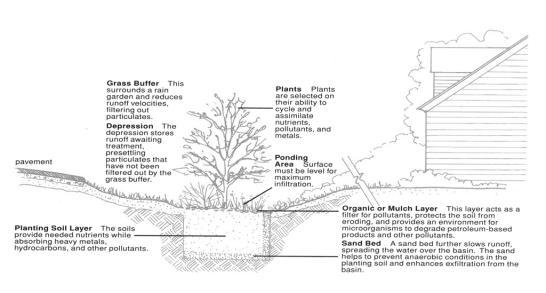Types of Plants http://plants.usda.